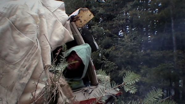 Survivorman - Shelter