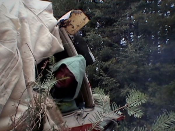 Survivorman - Shelter