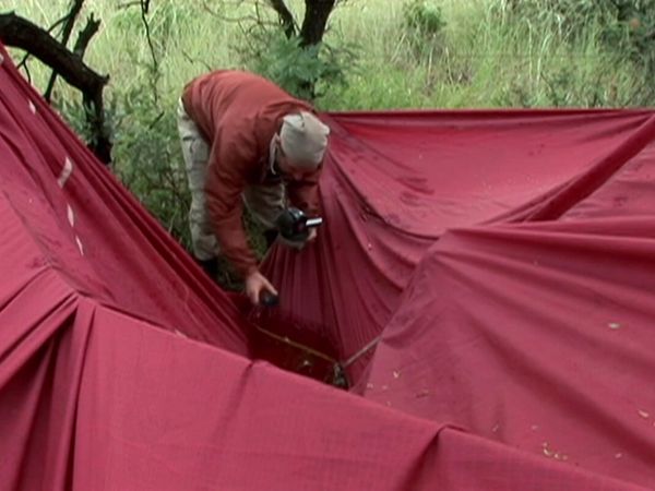 Survivorman - Food