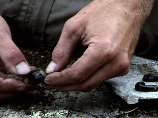 Survivorman - Water