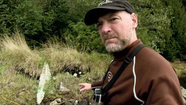 Survivorman - Klemtu