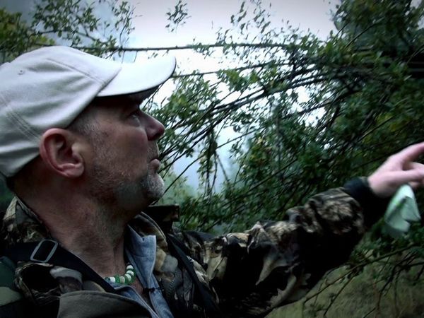 Survivorman - Willow Creek California