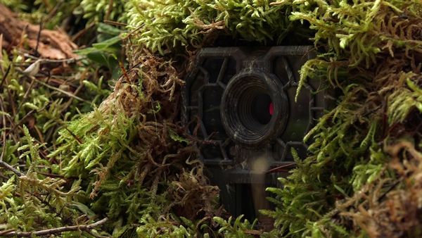 Survivorman - Foothills of the Rockies