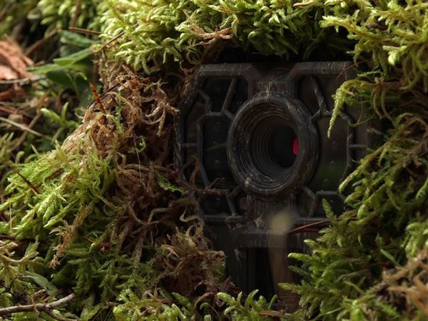 Survivorman - Foothills of the Rockies