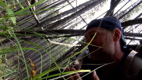 Survivorman - British Columbia