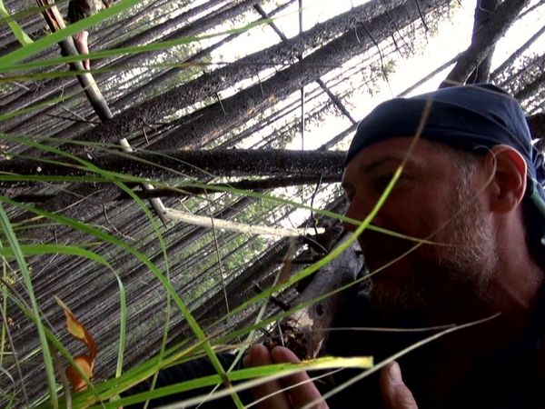Survivorman - British Columbia