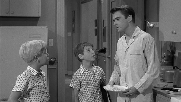 My Three Sons - Mike in Charge