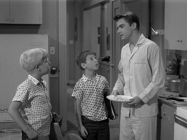 My Three Sons - Mike in Charge