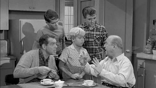 My Three Sons - Bub Gets a Job