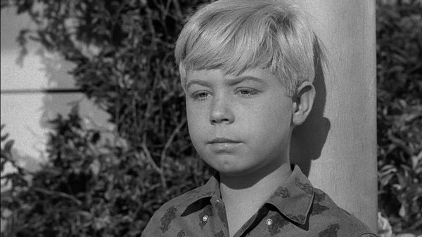 My Three Sons - Chip Leaves Home