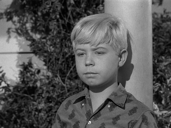 My Three Sons - Chip Leaves Home