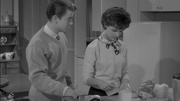 My Three Sons - Too Much in Common