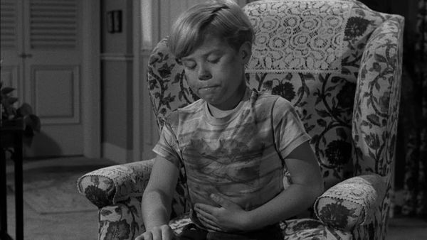 My Three Sons - The Little Ragpicker