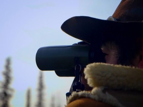 Sasquatch Mountain Man - Muledeer
