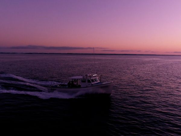 Monster Fish - Prince Edward Island Tuna