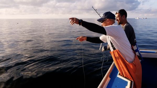 Monster Fish - Northumberland Strait Bluefin