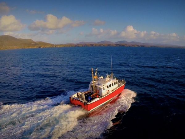 Monster Fish - Tuna of Scotland
