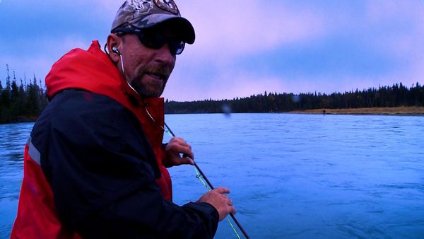Monster Fish - Alaskan Rainbow Trout/Alligator Gar