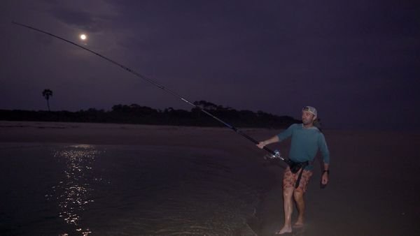 Monster Fish - Gabon Africa Bull Sharks