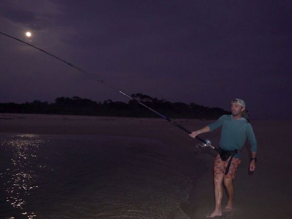 Monster Fish - Gabon Africa Bull Sharks
