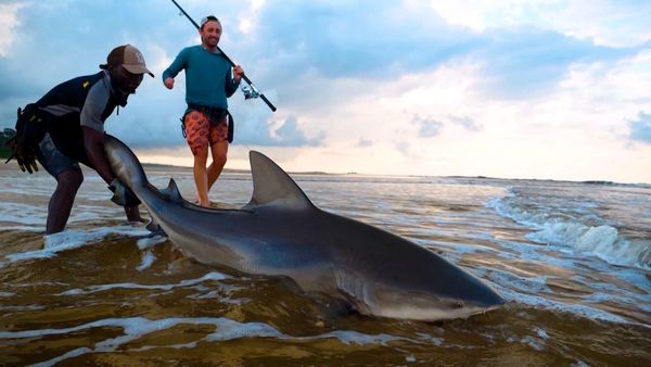 Monster Fish - Gabon Africa