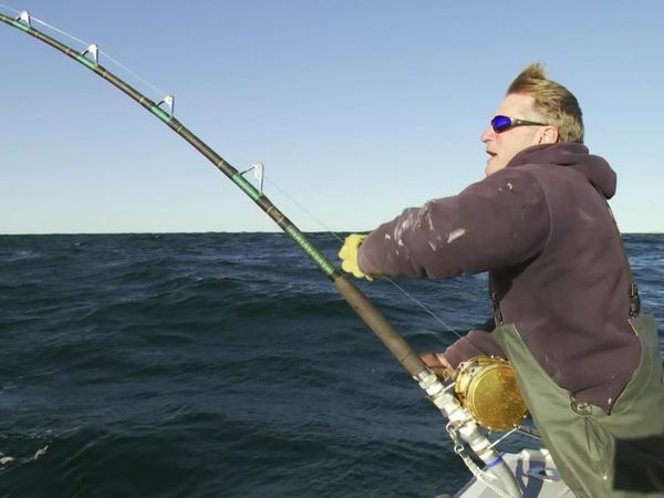 Wicked Tuna - Der erste Fang (The Bite Is On)