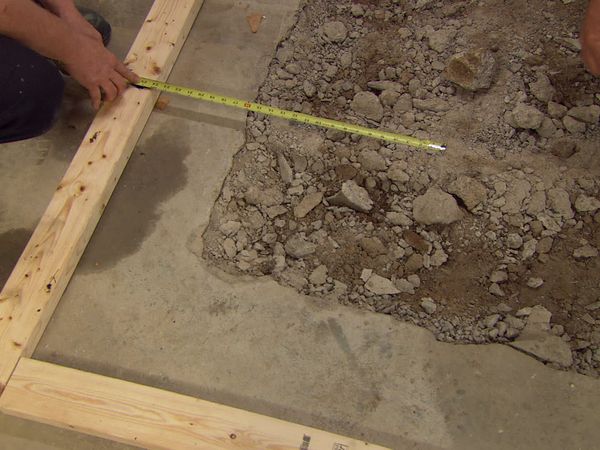 Ask This Old House - Ask This Old House | Tree, Basement Drain