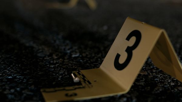 Homicide Hunter - No Good Deed