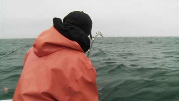 Wicked Tuna - Mann gegen Sturm