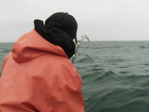 Wicked Tuna - Mann gegen Sturm