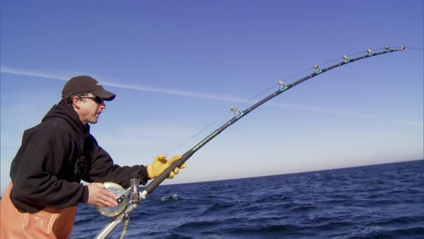 Wicked Tuna - Missgunst an Bord