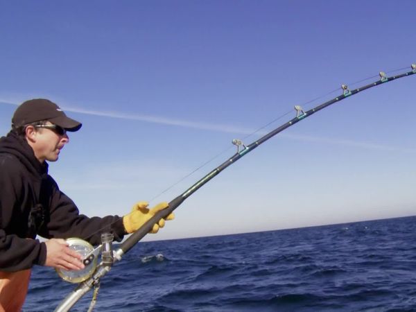 Wicked Tuna - Missgunst an Bord