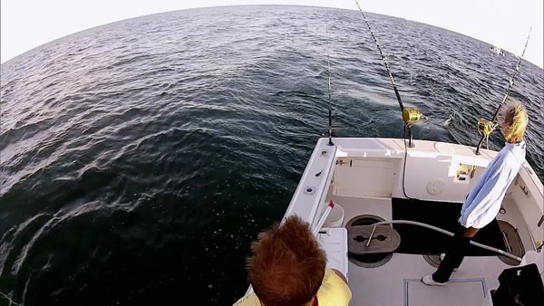 Wicked Tuna - Unerwartete Konkurrenz