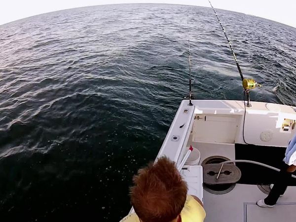 Wicked Tuna - Unerwartete Konkurrenz