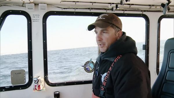 Wicked Tuna - Hohes Risiko