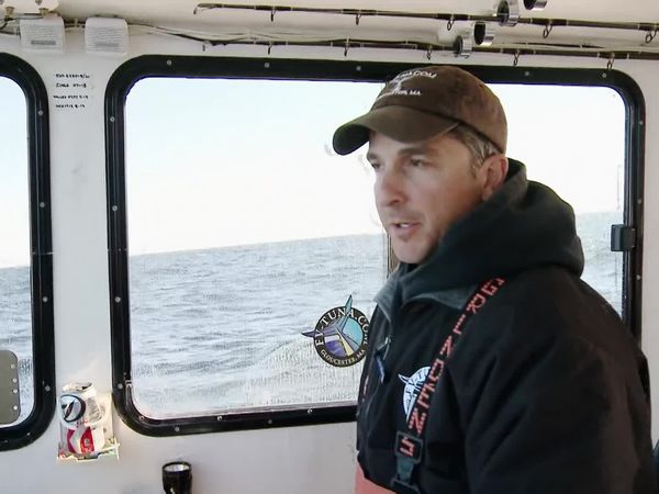 Wicked Tuna - Hohes Risiko
