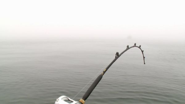 Wicked Tuna - Die Rückkehr