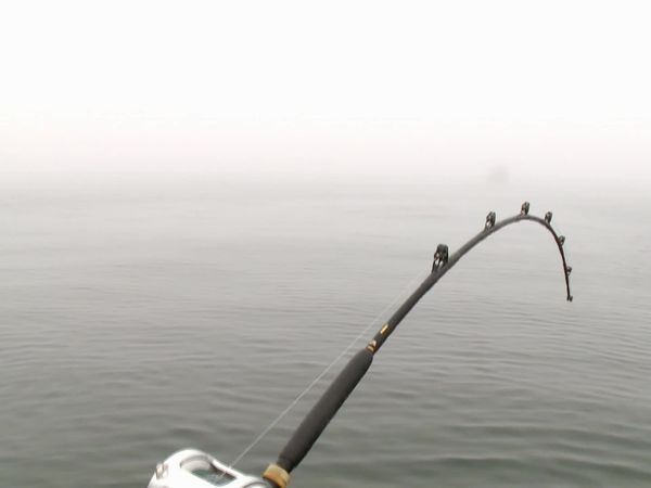 Wicked Tuna - Die Rückkehr