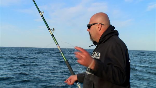 Wicked Tuna - Schachmatt