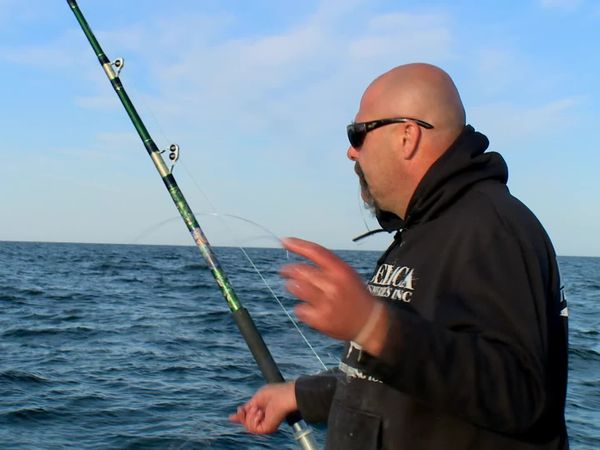 Wicked Tuna - Schachmatt