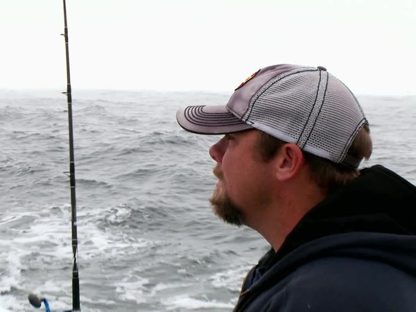 Wicked Tuna - Das Thunfisch-ABC