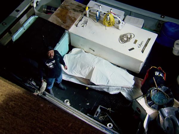 Wicked Tuna - Tag der Abrechnung