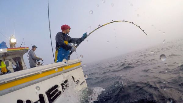 Wicked Tuna - Ein schwieriger erster Fang
