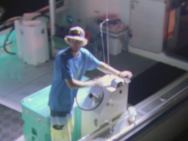 Wicked Tuna - Wer ist hier der Boss?
