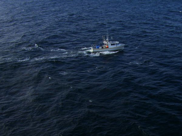 Wicked Tuna - Versuche und Täuschungen