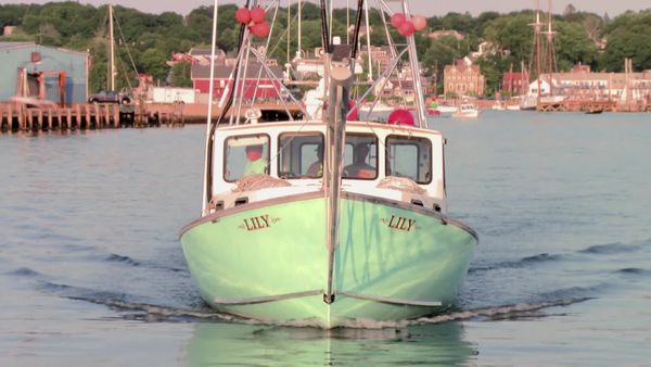 Wicked Tuna - An die Harpunen! (Harpoon Hellraising)
