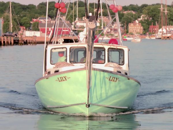Wicked Tuna - An die Harpunen! (Harpoon Hellraising)