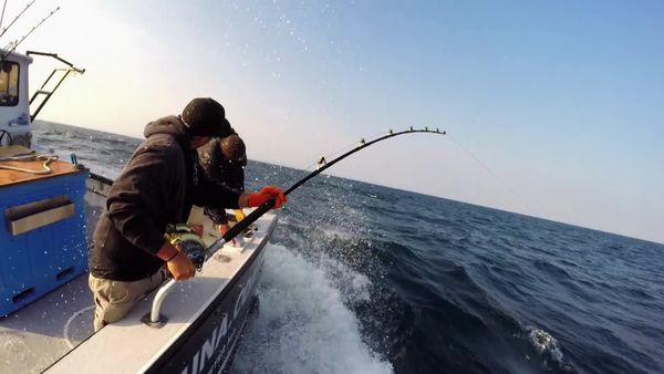 Wicked Tuna - Ganz oder gar nicht (Go Hard Or Go Home)