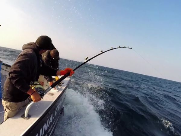 Wicked Tuna - Ganz oder gar nicht (Go Hard Or Go Home)