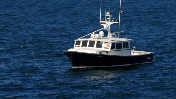 Wicked Tuna - Wer braucht einen Kapitän?